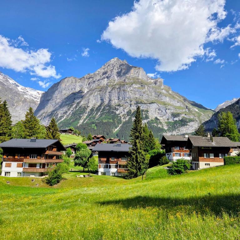 MOM - Alpine Boutique Apartments, Romantica, near Grindelwald Terminal - Apartment mit 1 Schlafzimmer - 1