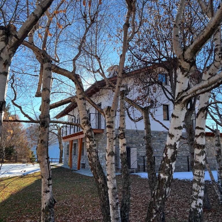 Casa Luigina - Two-Bedroom Apartment - 81