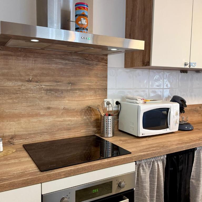 "Maurice" Centre-ville, Climatisation, WiFi et Parking - Appartement 1 Chambre - 3