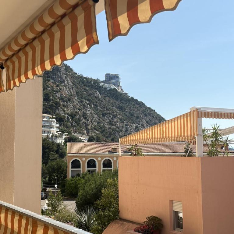 Spacious Apartment Portes De Monaco Terrace - Apartamento de 1 dormitorio - 1