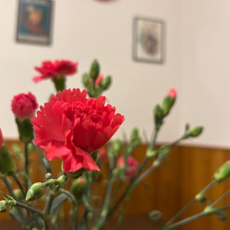 Nonna's House Tuscany - Appartement 2 Chambres - 15