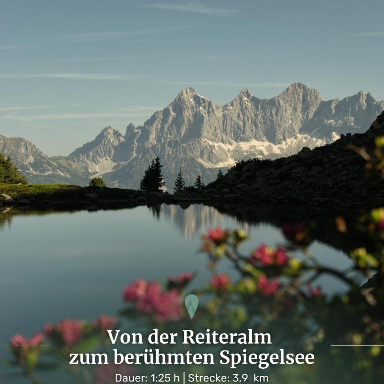 Alpin Studio Schladming 205 - Apartment mit 1 Schlafzimmer - 44