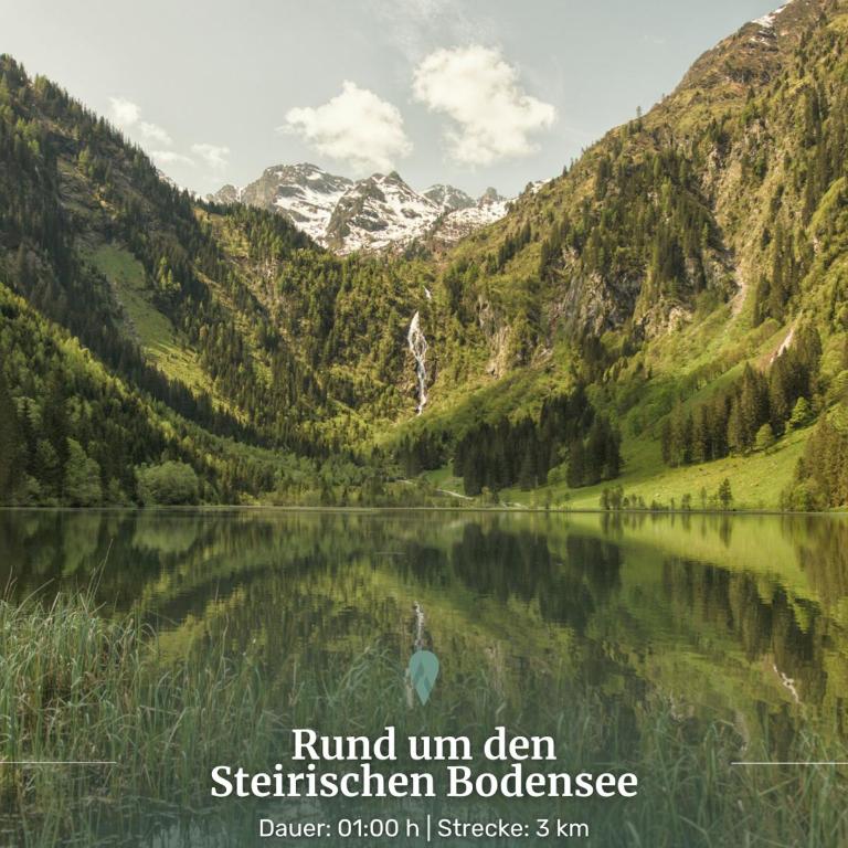 Alpin Studio Schladming 204 - Apartment mit 1 Schlafzimmer - 42