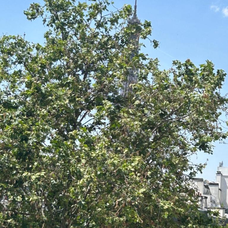 Eiffel Yard Hotel - Double or Twin Room - City view - 7