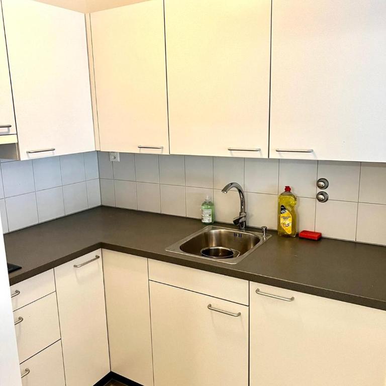 Downtown Flats - Lucerne Lake - Apartment mit 1 Schlafzimmer - 8