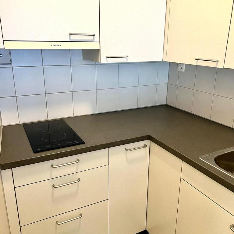 Downtown Flats - Lucerne Lake - Apartment mit 1 Schlafzimmer - 3