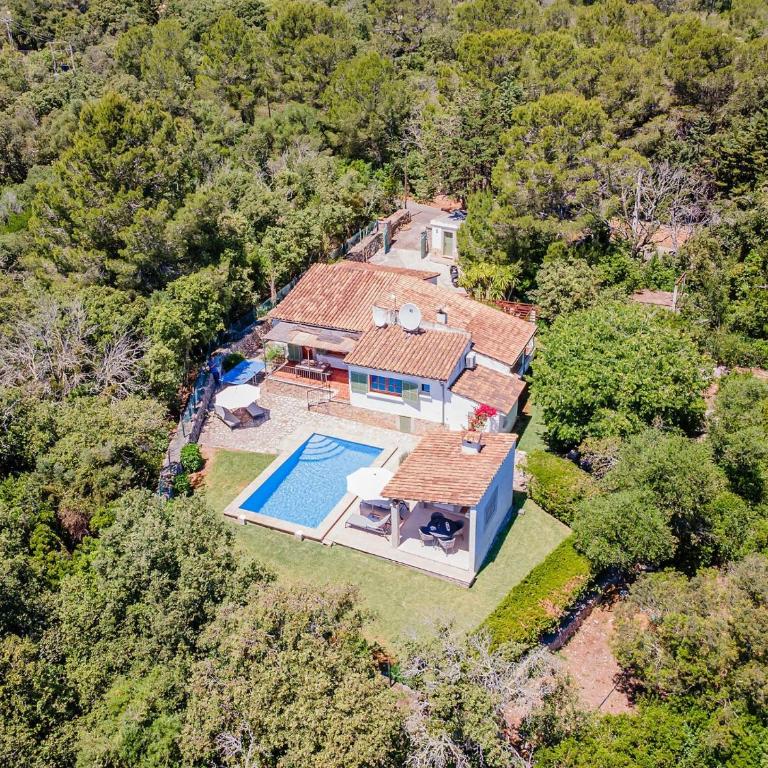 Villa Can Bon Jesus by SunVillas Mallorca - Casa - 49
