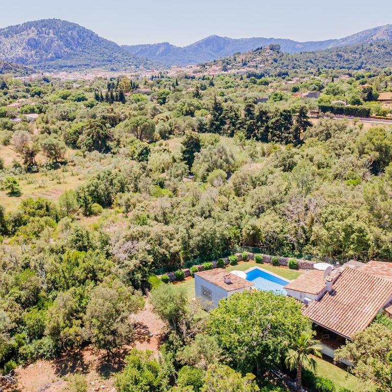 Villa Can Bon Jesus by SunVillas Mallorca - Casa - 51