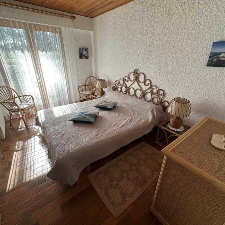 Maison Familiale au Milieu des Pins à Biscarrosse - 6 Pers, 300m du Lac, Ménage Inclus - FR-1-319-573 - Maison de Vacances - 29