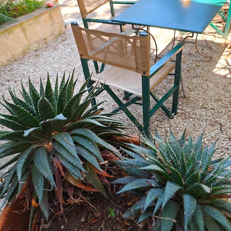 Les Bastidieres - Cap Brun - Studio Apartment - Turquoise - 9
