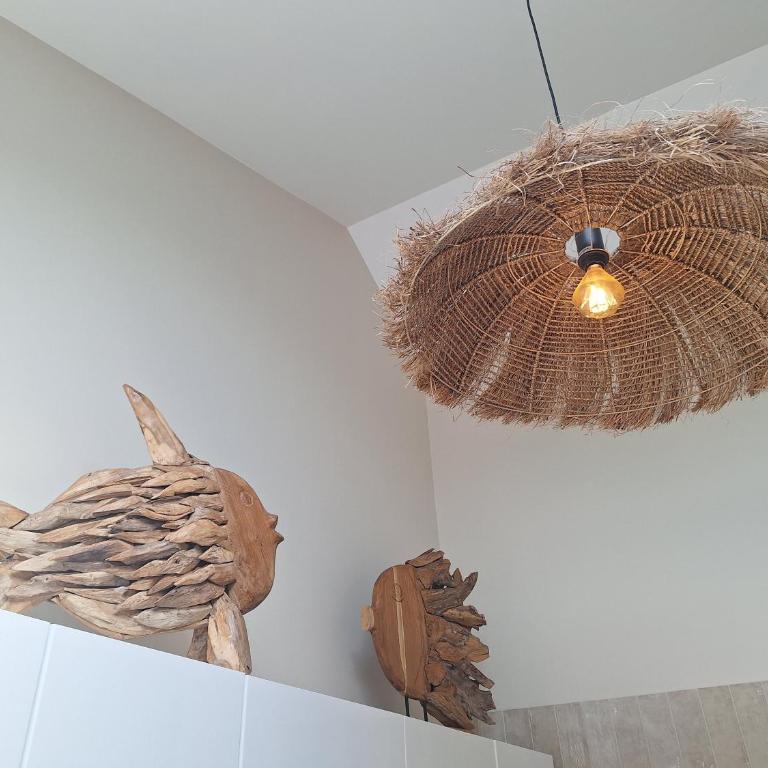 Evasion Bali - Appartement Cosy & Ambiance Zen - Appartement 1 Chambre - 6