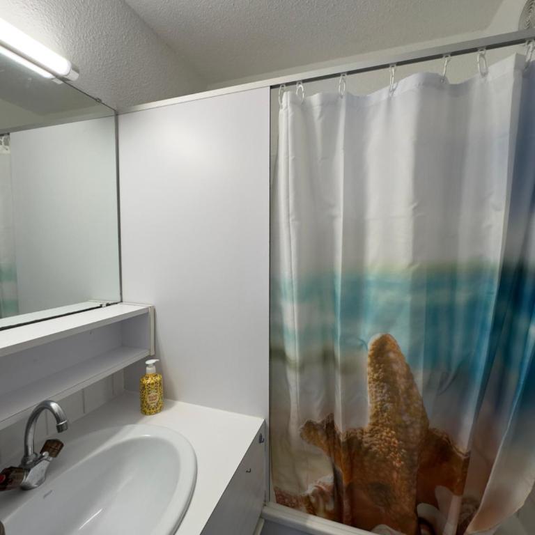 Cocon à Bourgenay, plage à 5 minutes - Apartamento con vistas al lago - 13