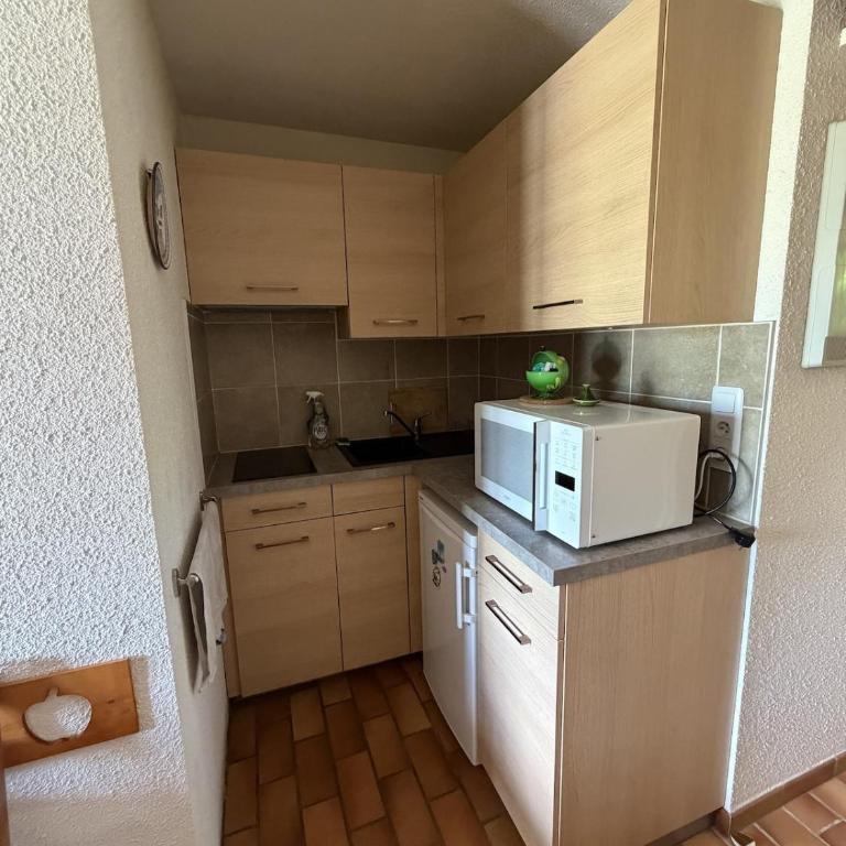 studio by the lake, at the foot of the ski resort - Appartement avec Vue sur la Montagne - 20