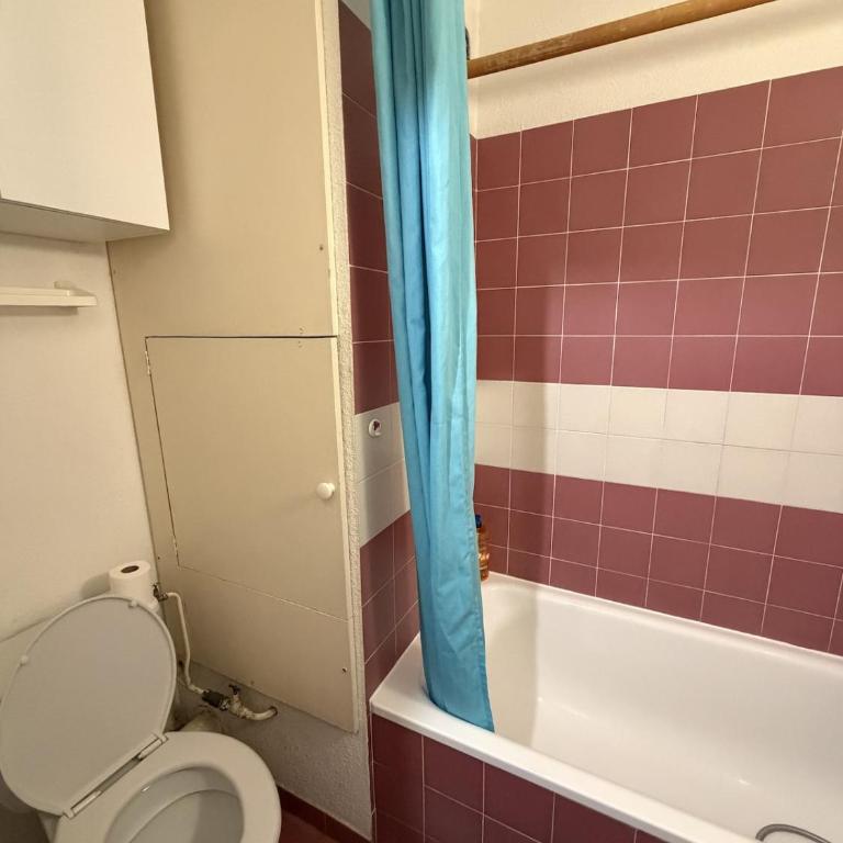 studio by the lake, at the foot of the ski resort - Appartement avec Vue sur la Montagne - 14
