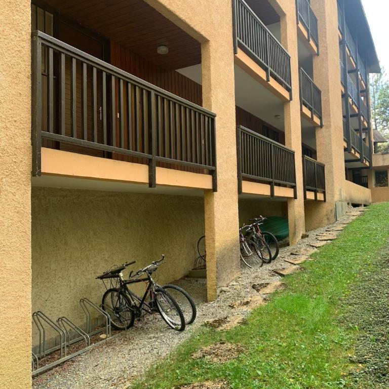 studio by the lake, at the foot of the ski resort - Appartement avec Vue sur la Montagne - 11