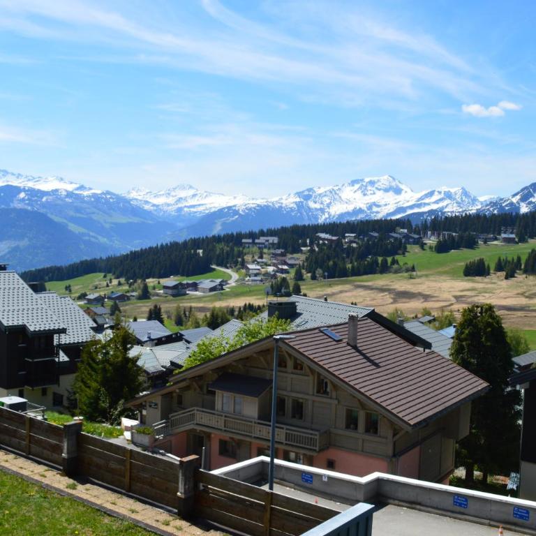 Le Petit Balcon des Cimes, vue montagne & cocon, les Saisies - Apartamento de 1 dormitorio - 14