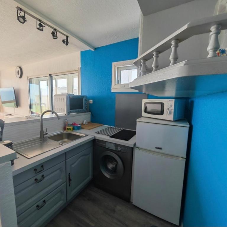 Canet T2 rénové, 4 pers, terrasse, parking, WIFI - FR-1-794-107 - Appartamento - 7