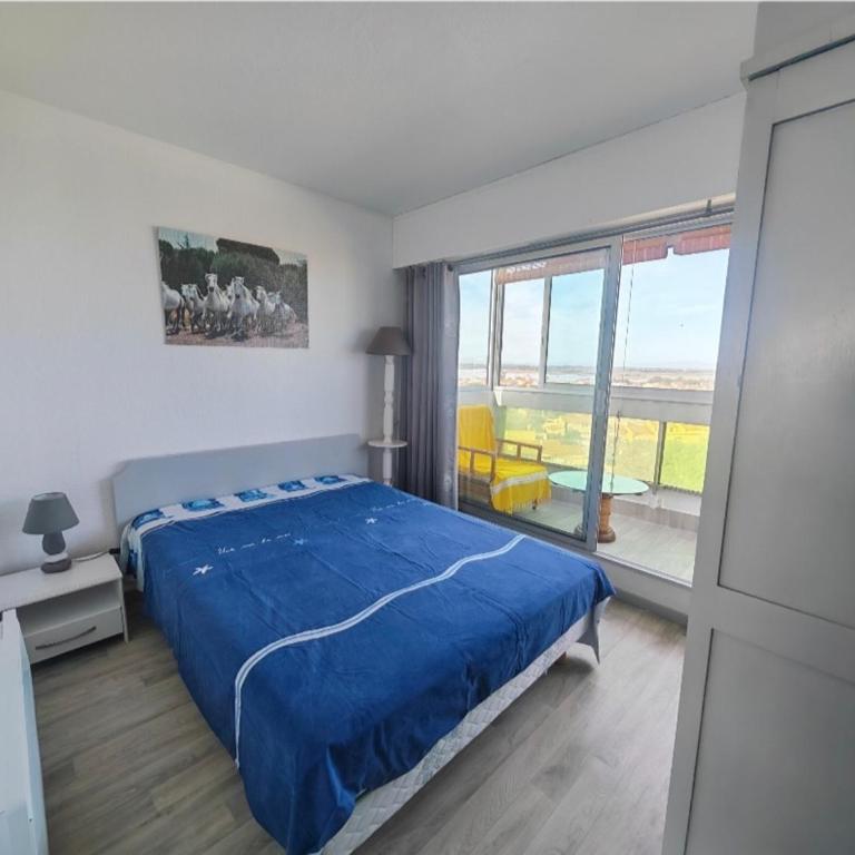 Canet T2 rénové, 4 pers, terrasse, parking, WIFI - FR-1-794-107 - Appartamento - 11
