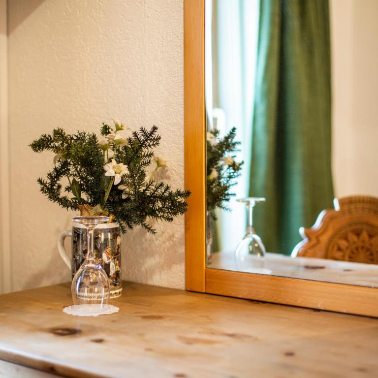 Hotel Alpina - Einzelzimmer mit Gemeinschafts-WC - 1