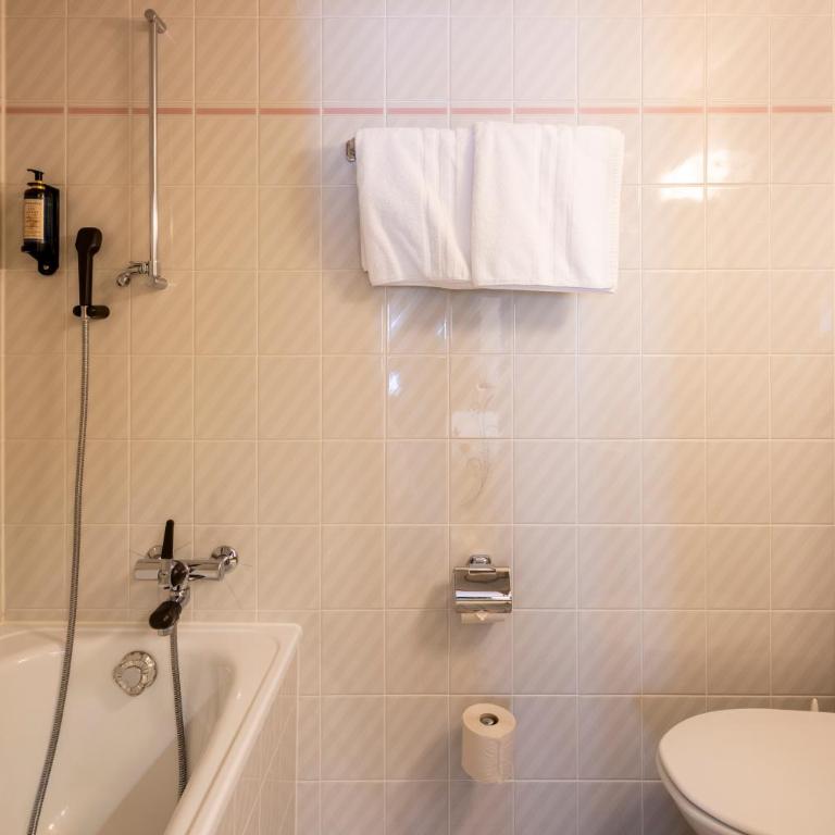 Hotel Alpina - Superior Doppel- oder Zweibettzimmer - 10