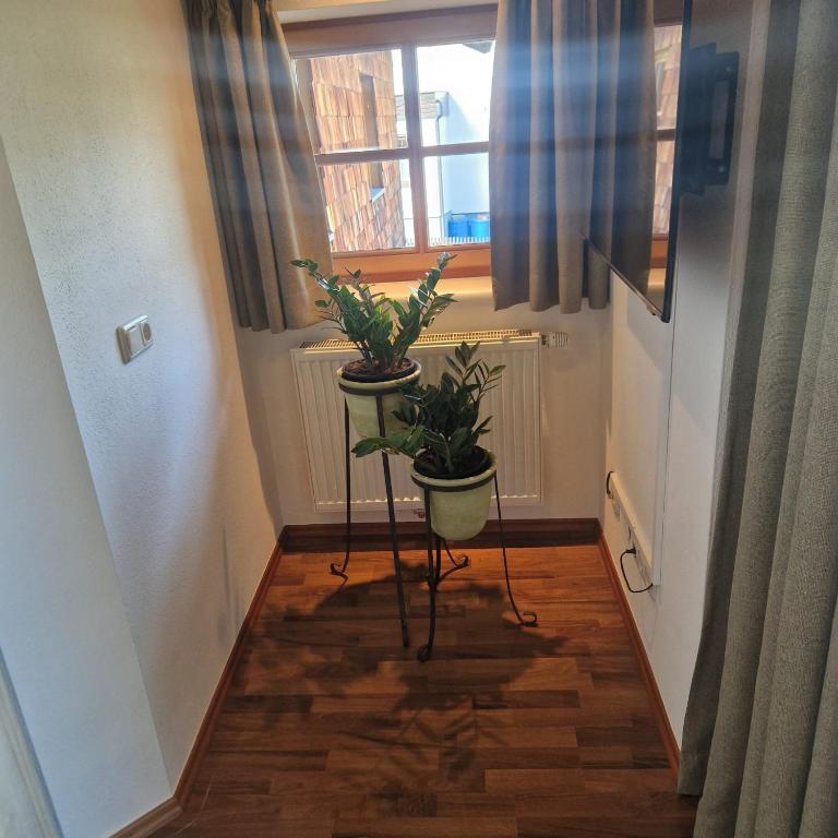 Appartement am Mühlrain - Appartement 3 Chambres - 29