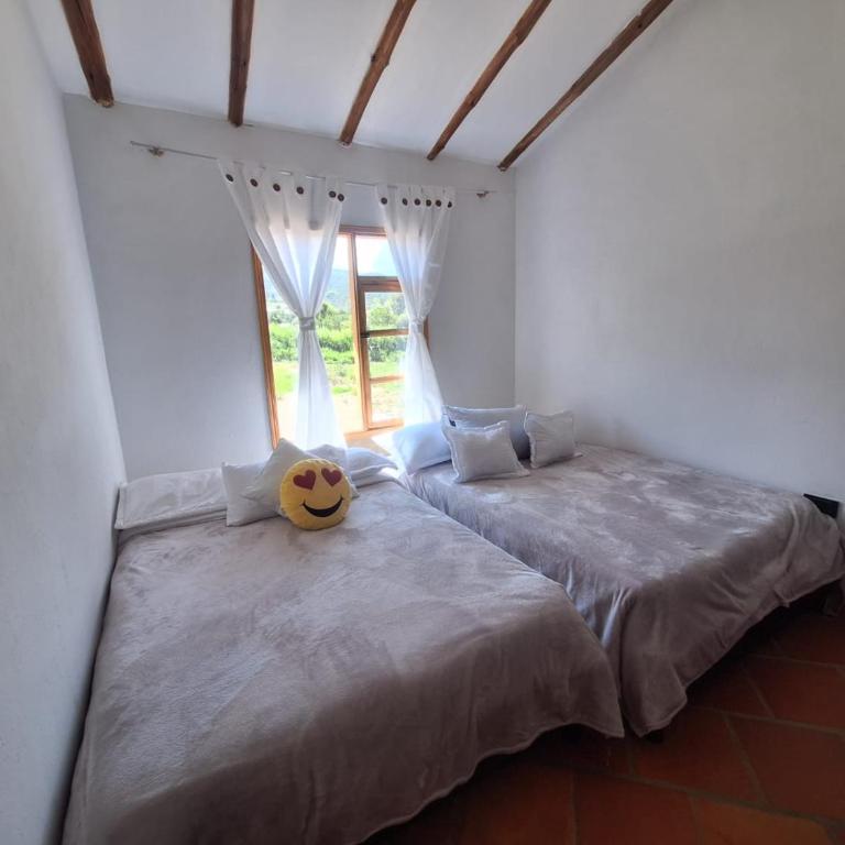 Oasis Campestre - Apartamento de 2 dormitorios - 8