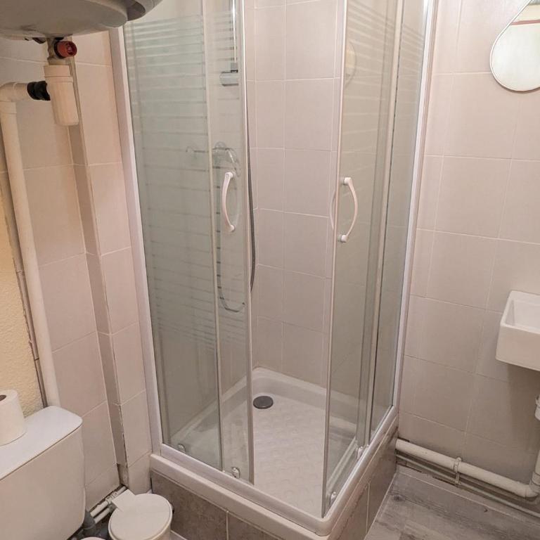 Studio au pied des pistes, animaux admis - Appartement 1 Chambre - 4