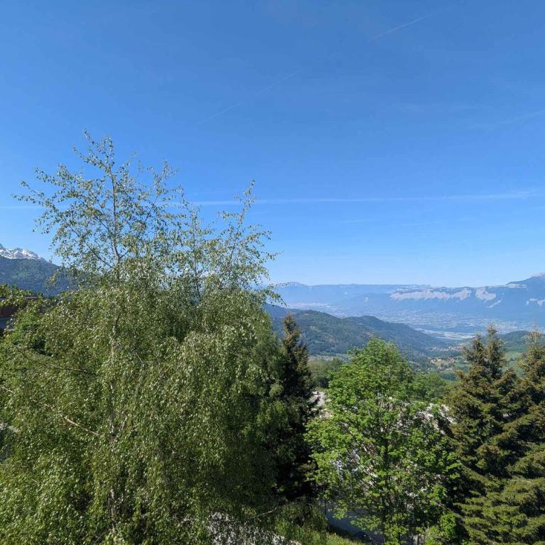 Studio Cabine 4 pers au pied des pistes avec balcon - Appartement 1 Chambre - 10