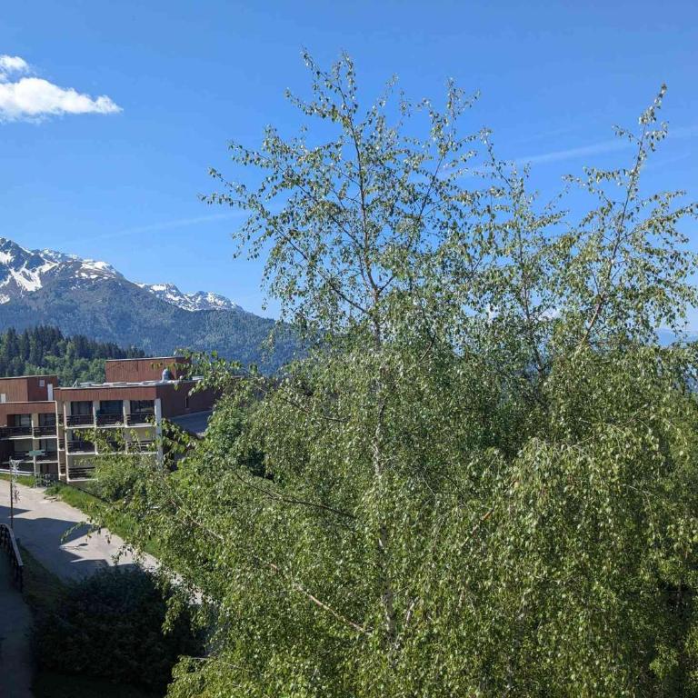 Studio Cabine 4 pers au pied des pistes avec balcon - Appartement 1 Chambre - 11