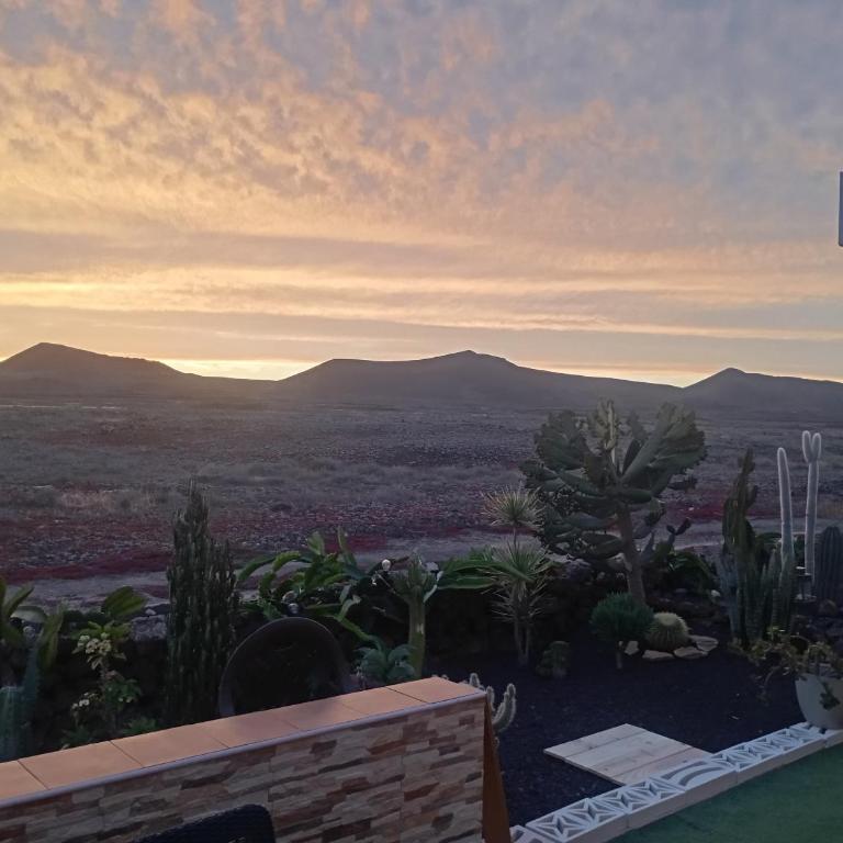 Loreto House - Villa - 14