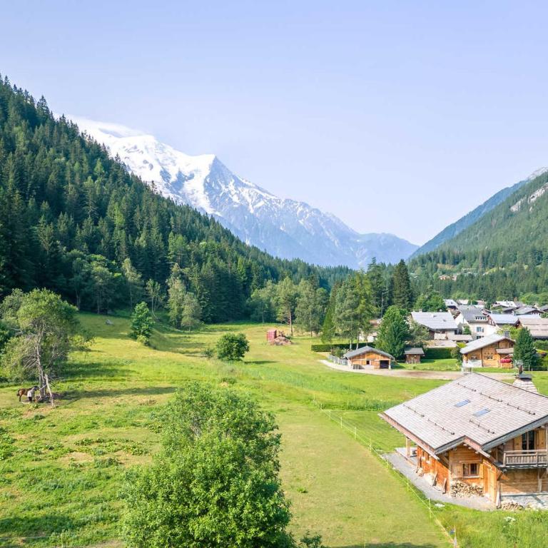 Magnifique chalet 12 pers avec sauna et cheminée - FR-1-343-181 - Chalet - 10