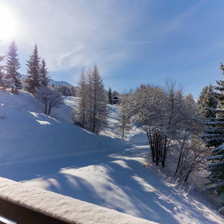 Appartement aux Arcs 1800 - 5 pers, Mezzanine, Animaux admis - FR-1-411-1008 - Appartement - 15