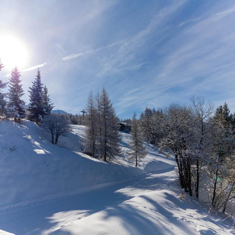 Duplex skis aux pieds pour 6 à Arc 1800, balcon au sud-est - FR-1-411-1011 - Apartment - 21