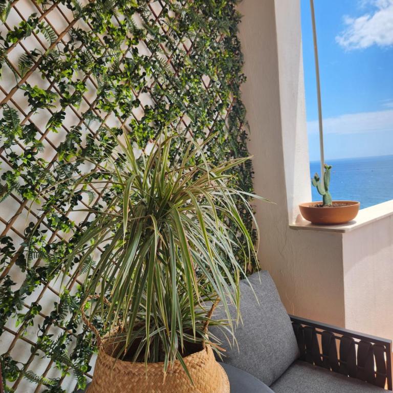 Arcadia Blu Bay - Two-Bedroom Apartment - 22