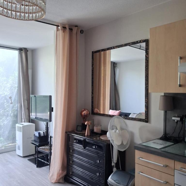 T2 Bord de mer avec jardin et piscine - One-Bedroom Apartment - 13