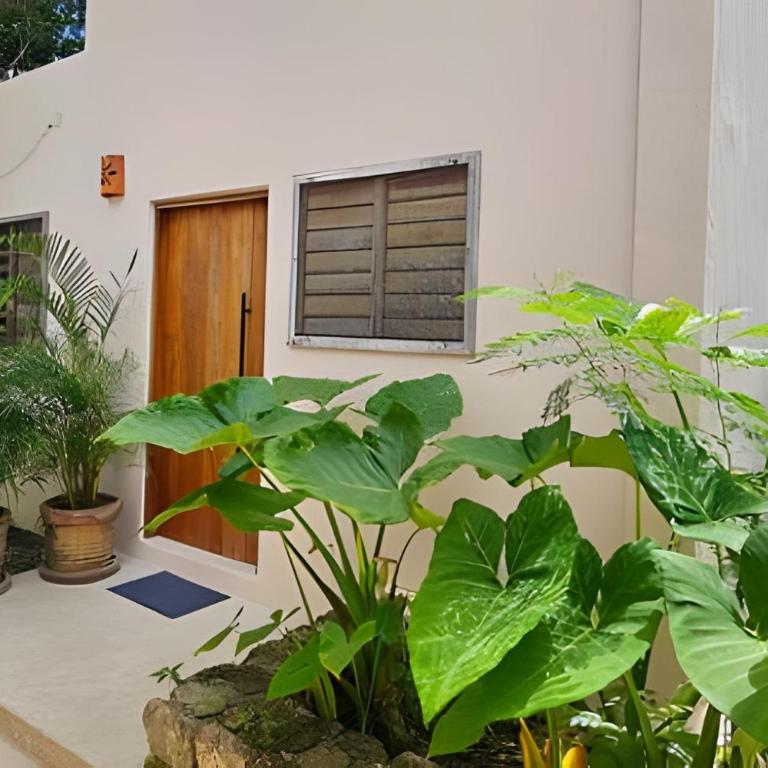 CASA 2 HAB Alberca y Parking privado - Two-Bedroom House - 41