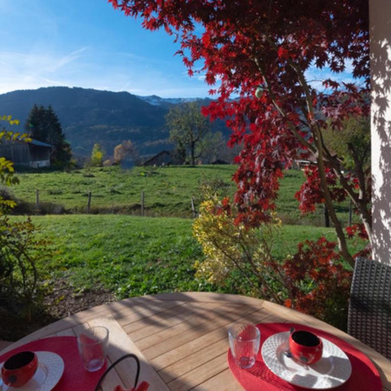 Appartement calme à Samoëns avec WIFI et parking - FR-1-629-110 - Apartment - 1