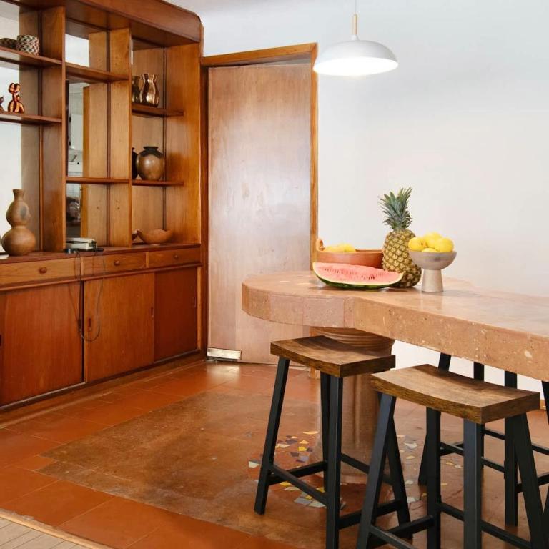 Newly Renovated 4BR in the Heart of Condesa - One-Bedroom Apartment - 25