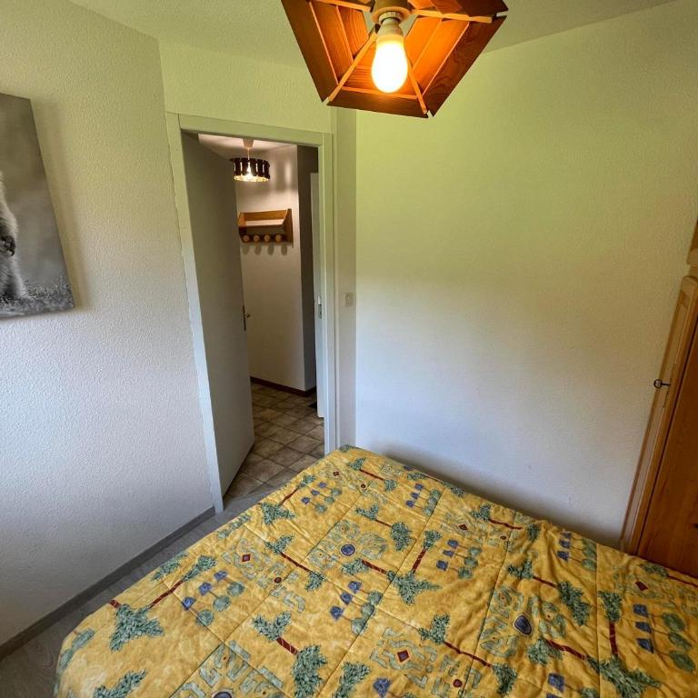 Appartement cosy 2 chambres avec balcon sud/est, parking, garage - 6 personnes - FR-1-198-140 - Apartment (6 Adults) - 7