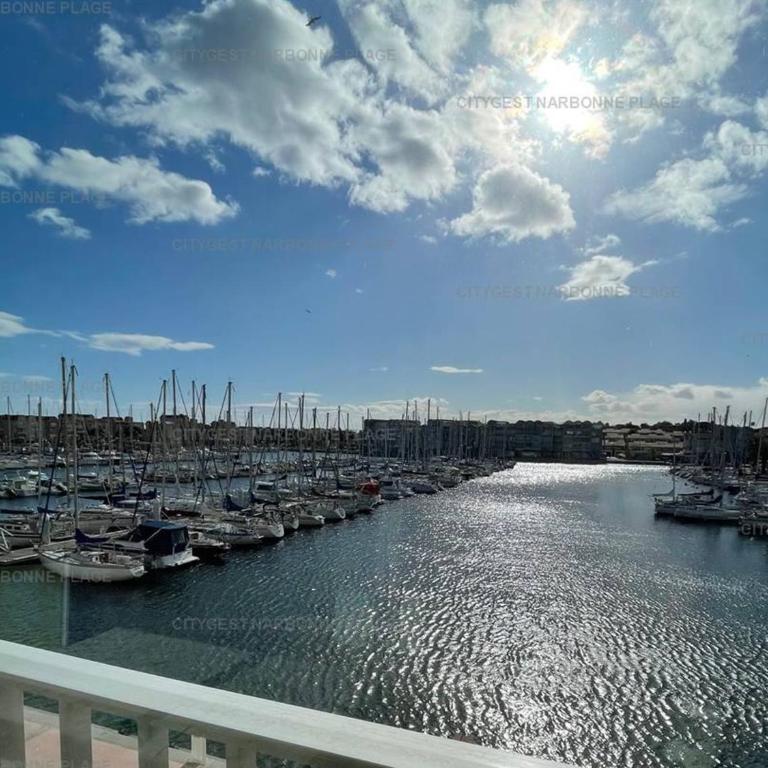 Studio 4 Pers avec Clim et Parking, Gruissan Port - FR-1-619-136 - Studio - 1