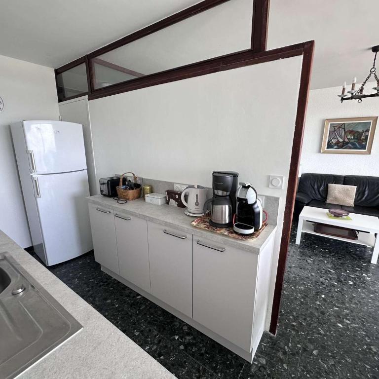 Appartement face mer climatisé avec parking au Grau-du-Roi - FR-1-731-141 - Appartement - 13