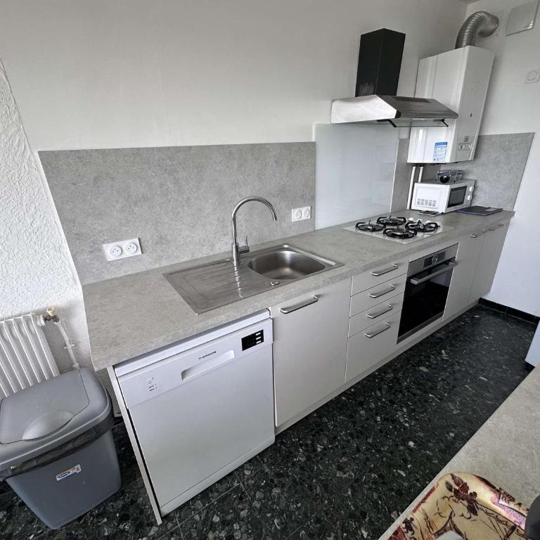 Appartement face mer climatisé avec parking au Grau-du-Roi - FR-1-731-141 - Appartement - 15