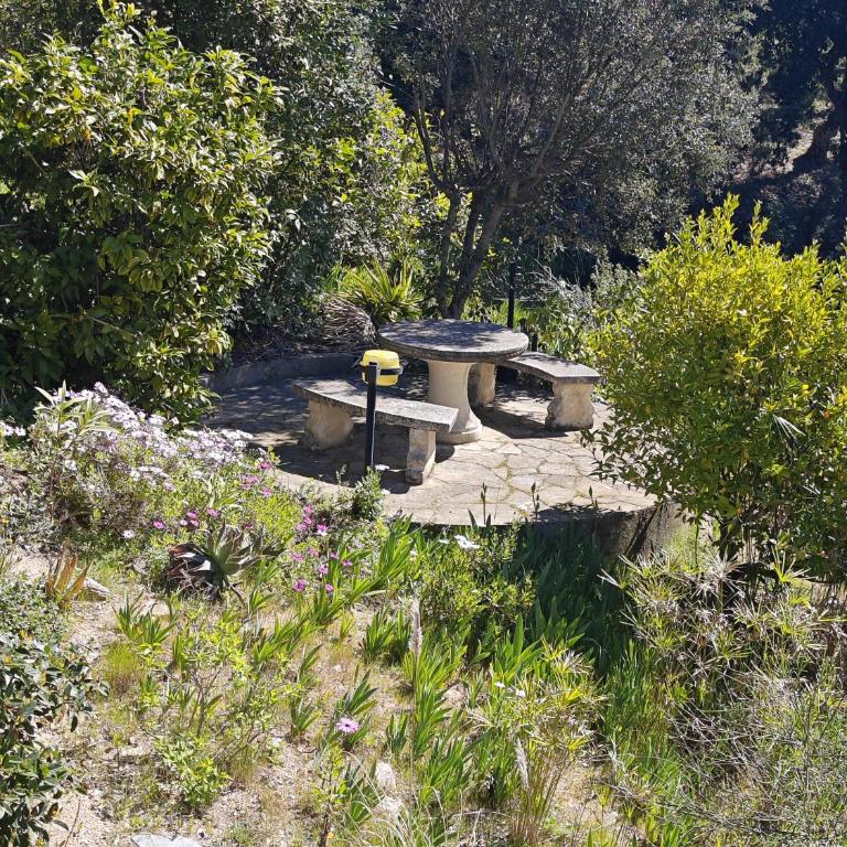Villa Serra Brava - Villa - 12