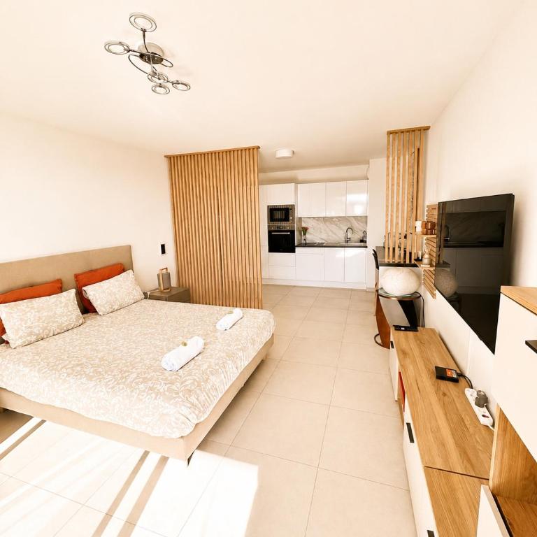 Studio en bord de mer avec piscine sur le toit - Appartement 1 Chambre - 1