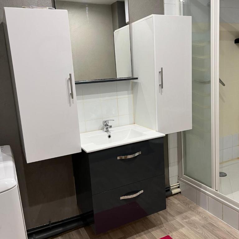 Studio centre de Digne Proche des thermes - Appartement 1 Chambre - 14
