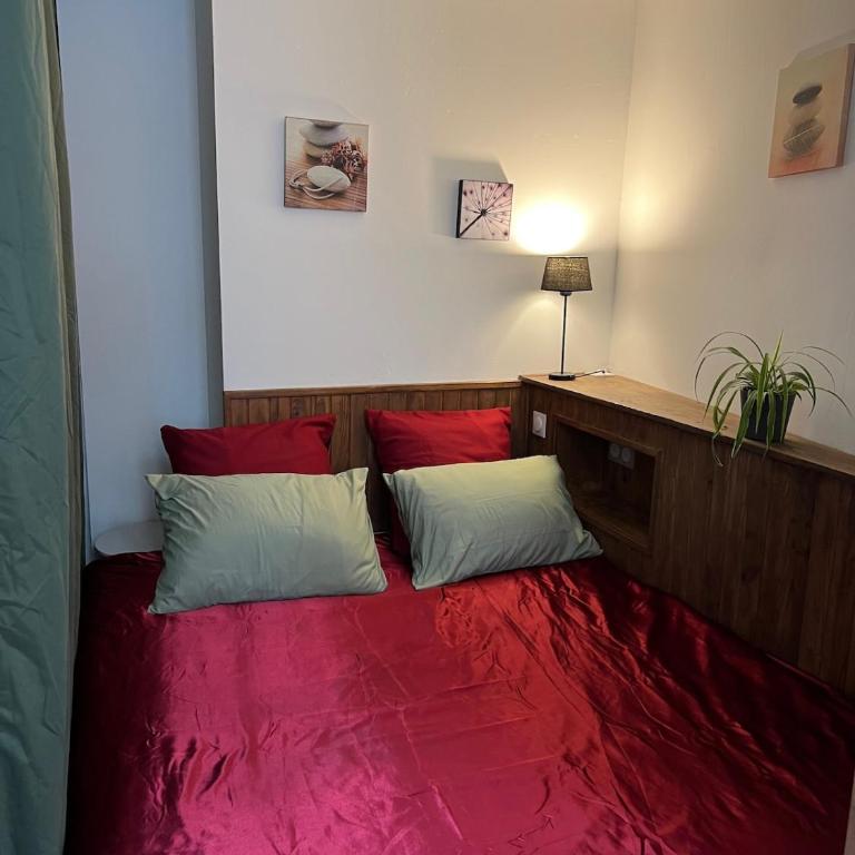 Studio centre de Digne Proche des thermes - Appartement 1 Chambre - 18