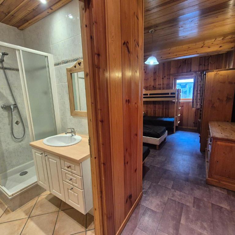 Grand appartement rénové 14 pers, sauna, animaux acceptés - FR-1-502-360 - Appartamento - 6