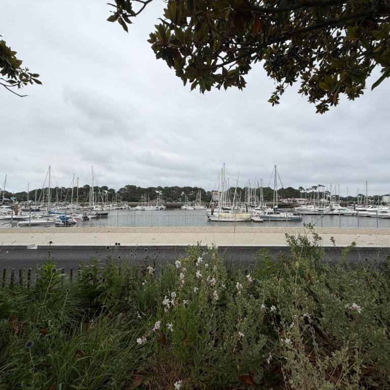 La Brise Marine - Vue Port - Apartment with View - 19
