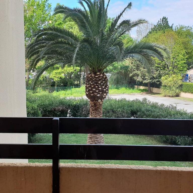 Appartement T2 à Argelès-sur-Mer, plage à 300m, piscine, parking privé, animaux acceptés - FR-1-388-109 - Apartment (4 Erwachsene) - 11