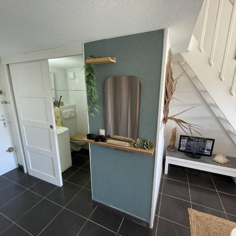 Studio mezzanine 4 couchages, animaux admis, parking sécurisé, proche commerces - FR-1-106-85 - Apartment - 22